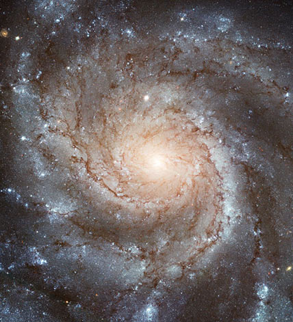 Galaktyka M101.