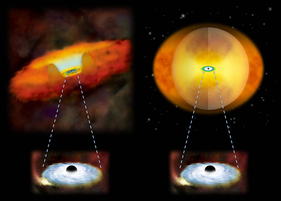 Czarne dziury w jądrach galaktyk różnego rodzaju
