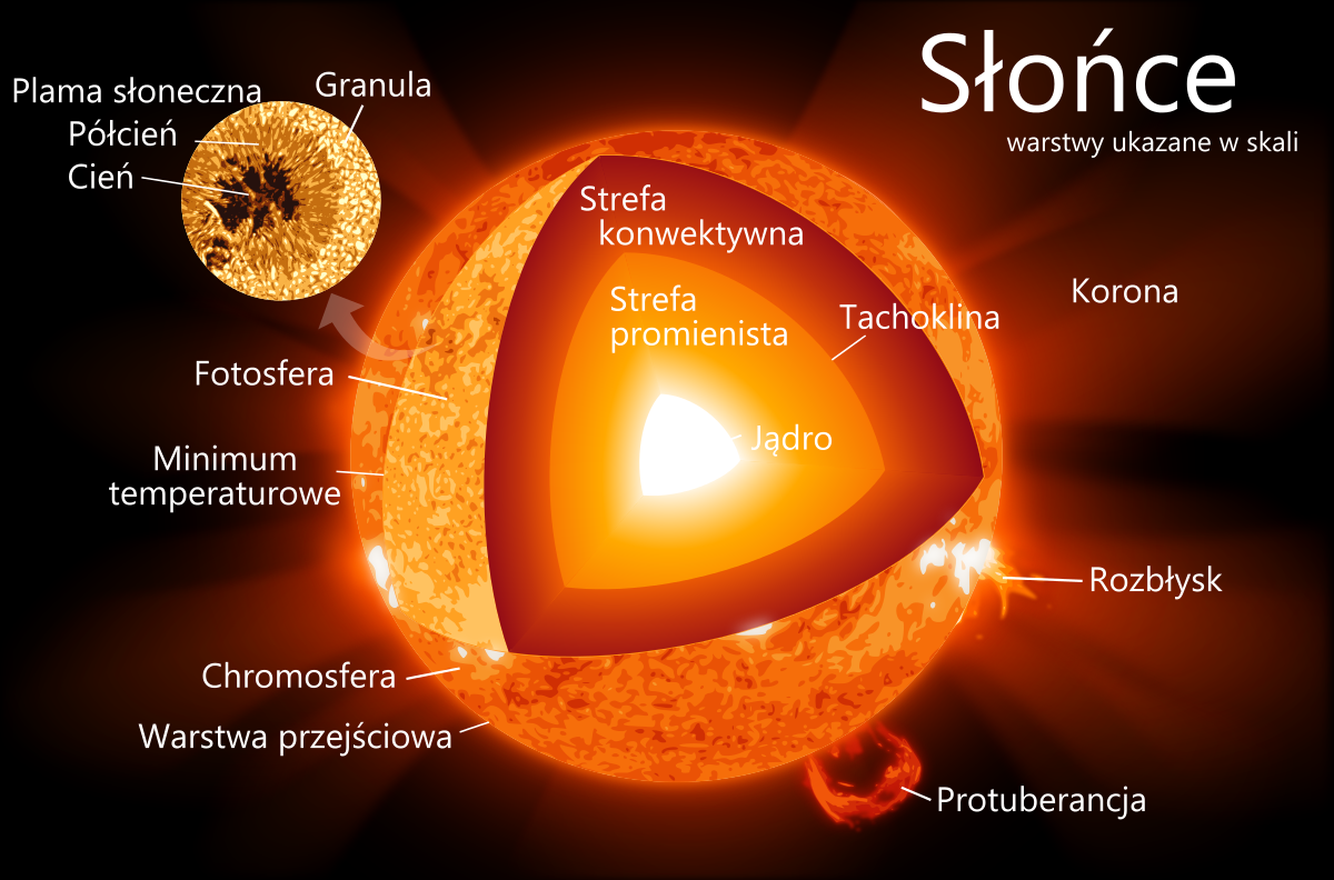 Schemat przedstawiający budowę Słońca, wraz z wyszczególnieniem warstw i elementów powierzchni.