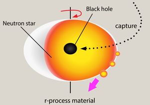Grafika opisująca mechanizm ,ożliwego zjawiska przechwytywania czarnych dziur przez gwiazdy neutronowe.