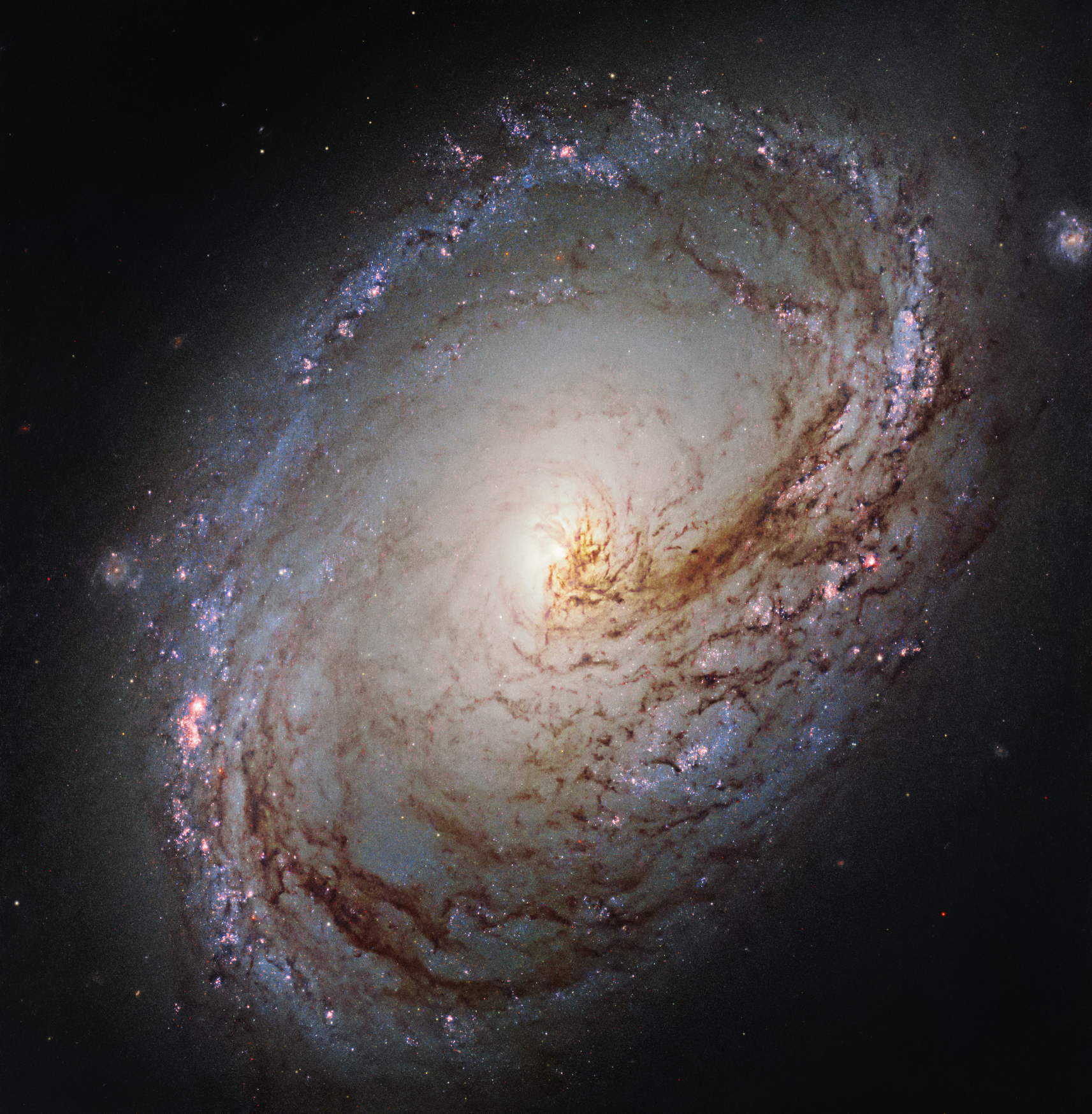 Galaktyka M96